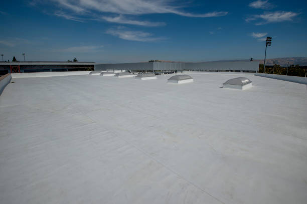 Best Gutter Installation and Repair  in Swedesboro, NJ