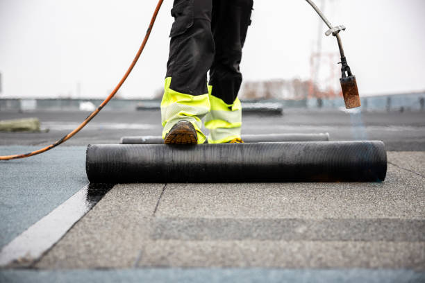 Best Roof Insulation Installation  in Swedesboro, NJ