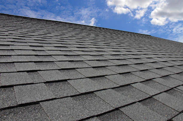Best Gutter Installation and Repair  in Swedesboro, NJ